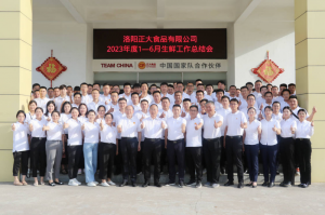 總結過去，計劃未來，協(xié)同創(chuàng)新，再創(chuàng)佳績！洛陽正大舉行2023年上半年工作總結會議